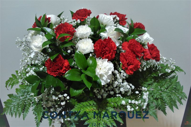 Ramo de 24 claveles rojos y blancos y paniculata Floristeria Contxa